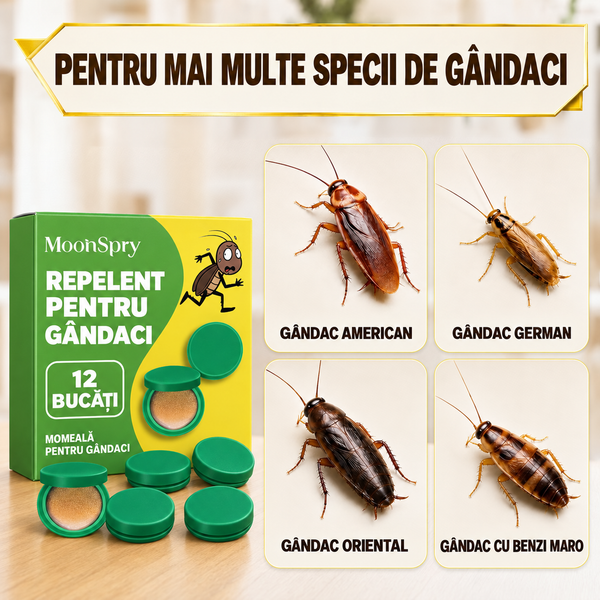 Capcană Inteligentă pentru Gândaci (12 bucăți / set)